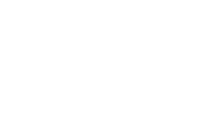 n2-logo